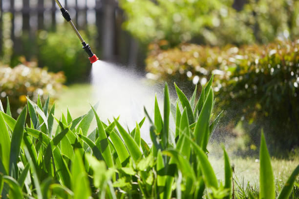 24/7 Emergency Mosquito Control experts in Desert Edge, CA